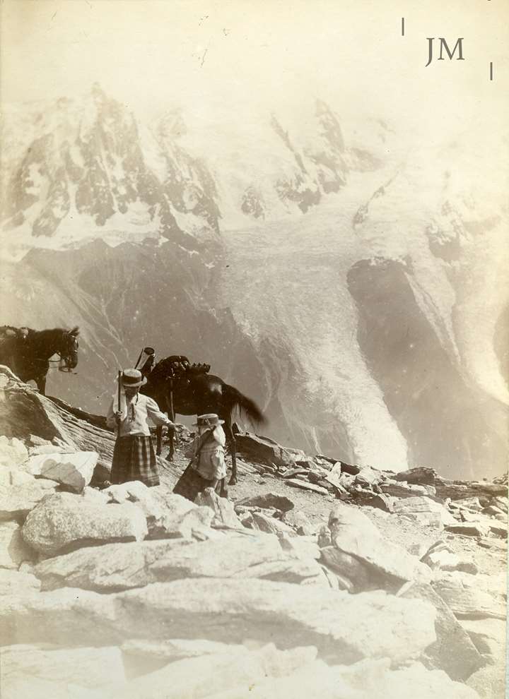 Chamonix donkeys Brevent